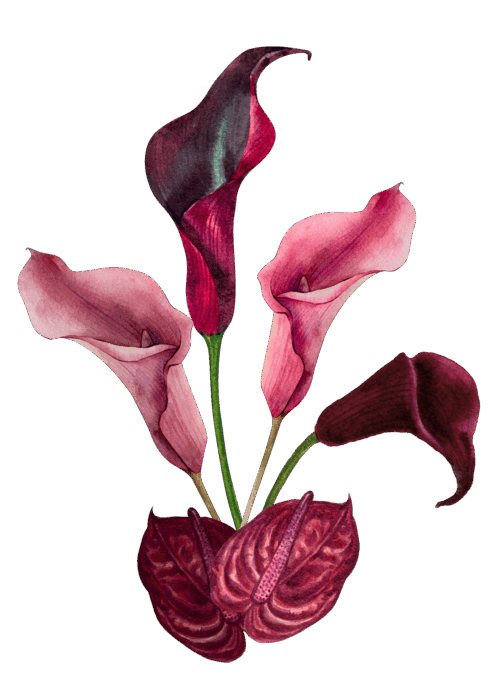 Flower accent